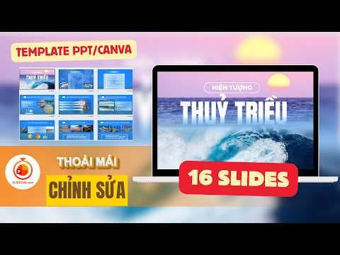 Slide Thủy Triều - Tìm Hiểu Toàn Diện Về Hiện Tượng Thủy Triều