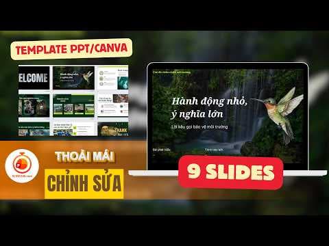 Bảo vệ môi trường: Thực trạng, nguyên nhân và giải pháp