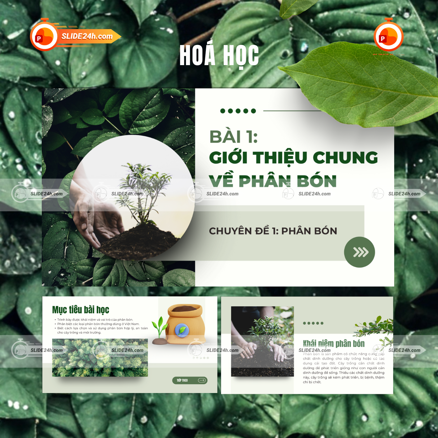 Mẫu Slide Thuyết Trình Phân Bón – Kiến Thức Nông Nghiệp Trực Quan Dễ Hiểu