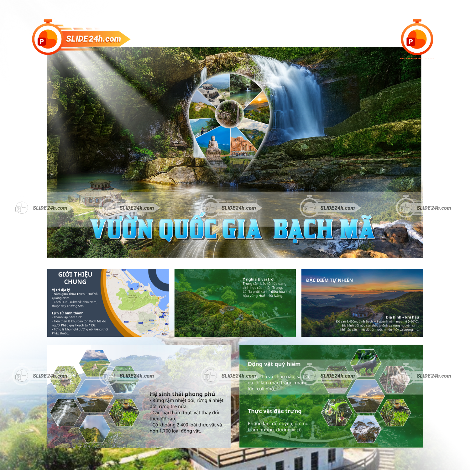 Slide Vườn Quốc Gia Bạch Mã - Kho Báu Sinh Thái Miền Trung thumbnail