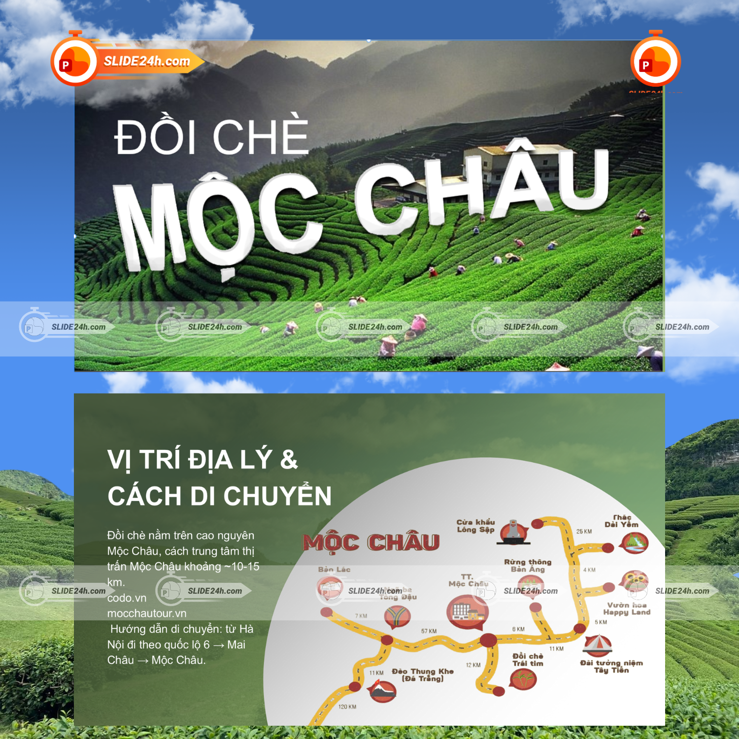 Slide Đồi Chè Mộc Châu - Vẻ Đẹp Xanh Mát Giữa Cao Nguyên Sơn La thumbnail