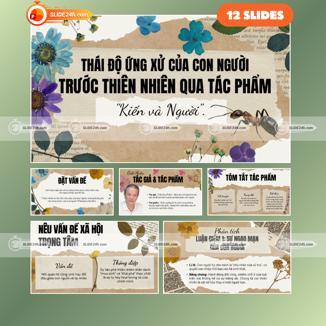 Slide Kiến Và Người – Phân Tích Tác Phẩm Của Trần Duy Phiên