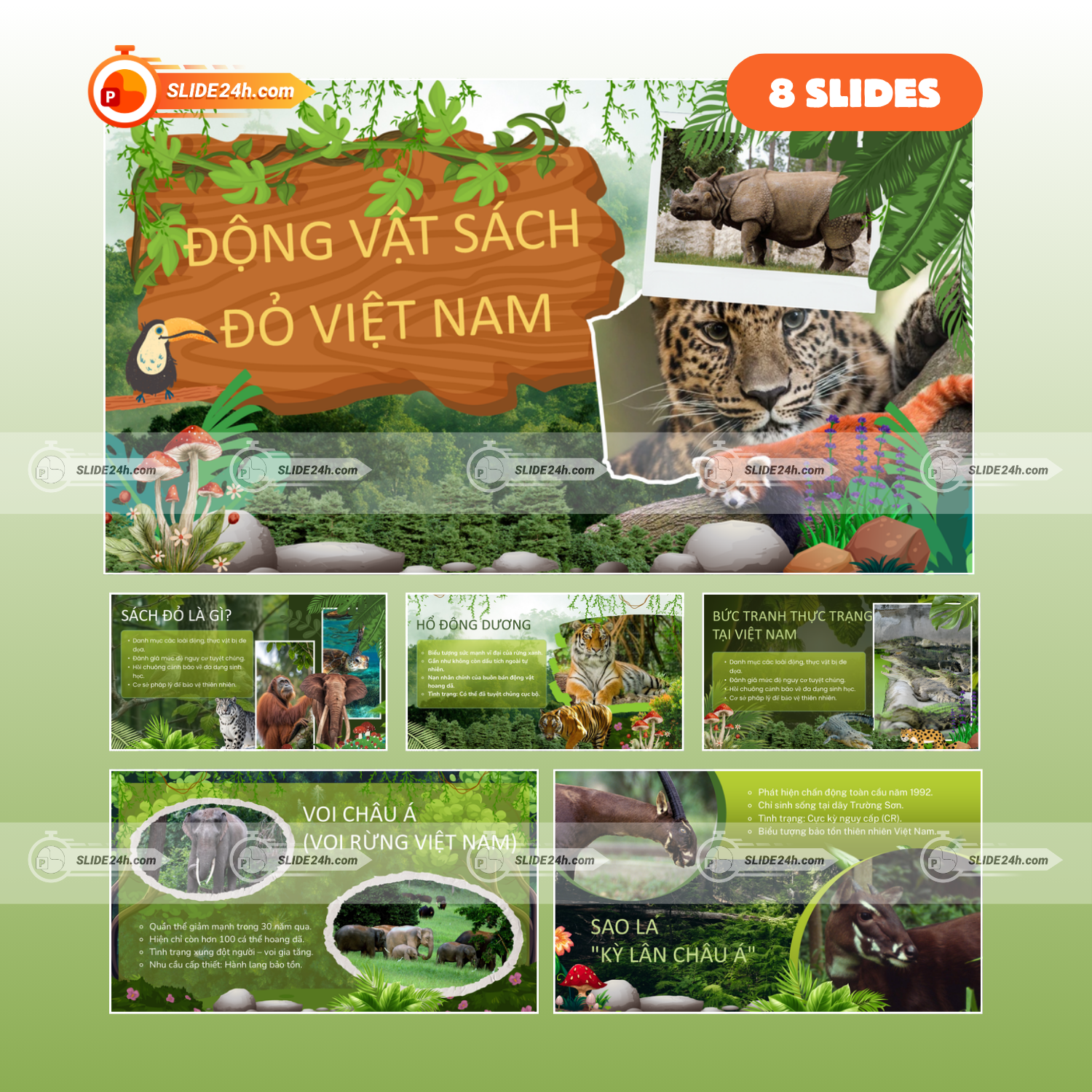 Động vật sách đỏ Việt Nam: Thực trạng và giải pháp bảo tồn