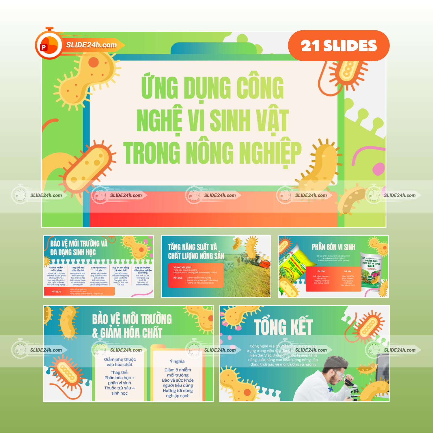Ứng Dụng Công Nghệ Vi Sinh Vật Trong Nông Nghiệp – Slide Thuyết Trình Chuẩn Kiến Thức
