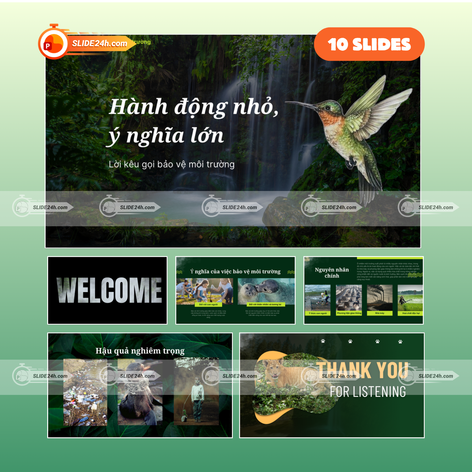 Bảo vệ môi trường: Thực trạng, nguyên nhân và giải pháp thumbnail