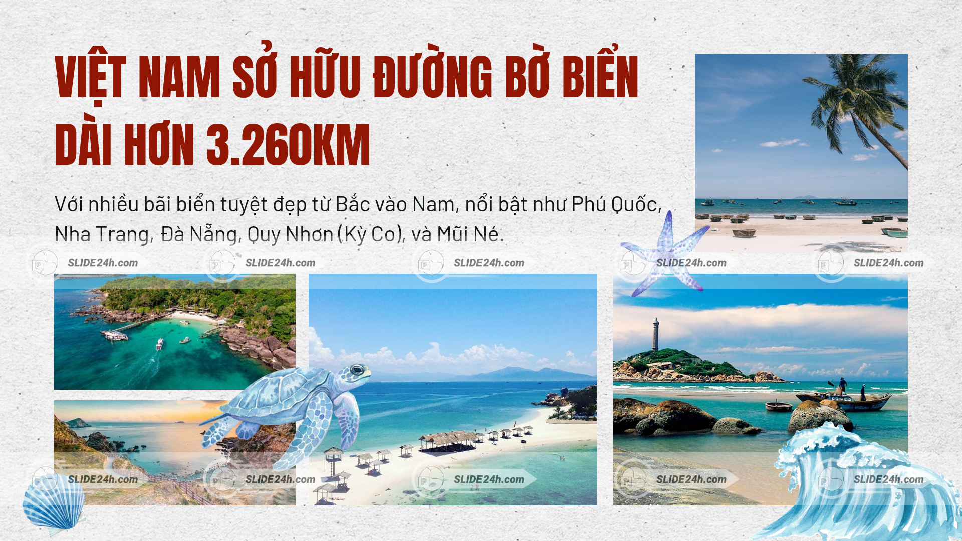 Biển đảo và hệ sinh thái Việt Nam