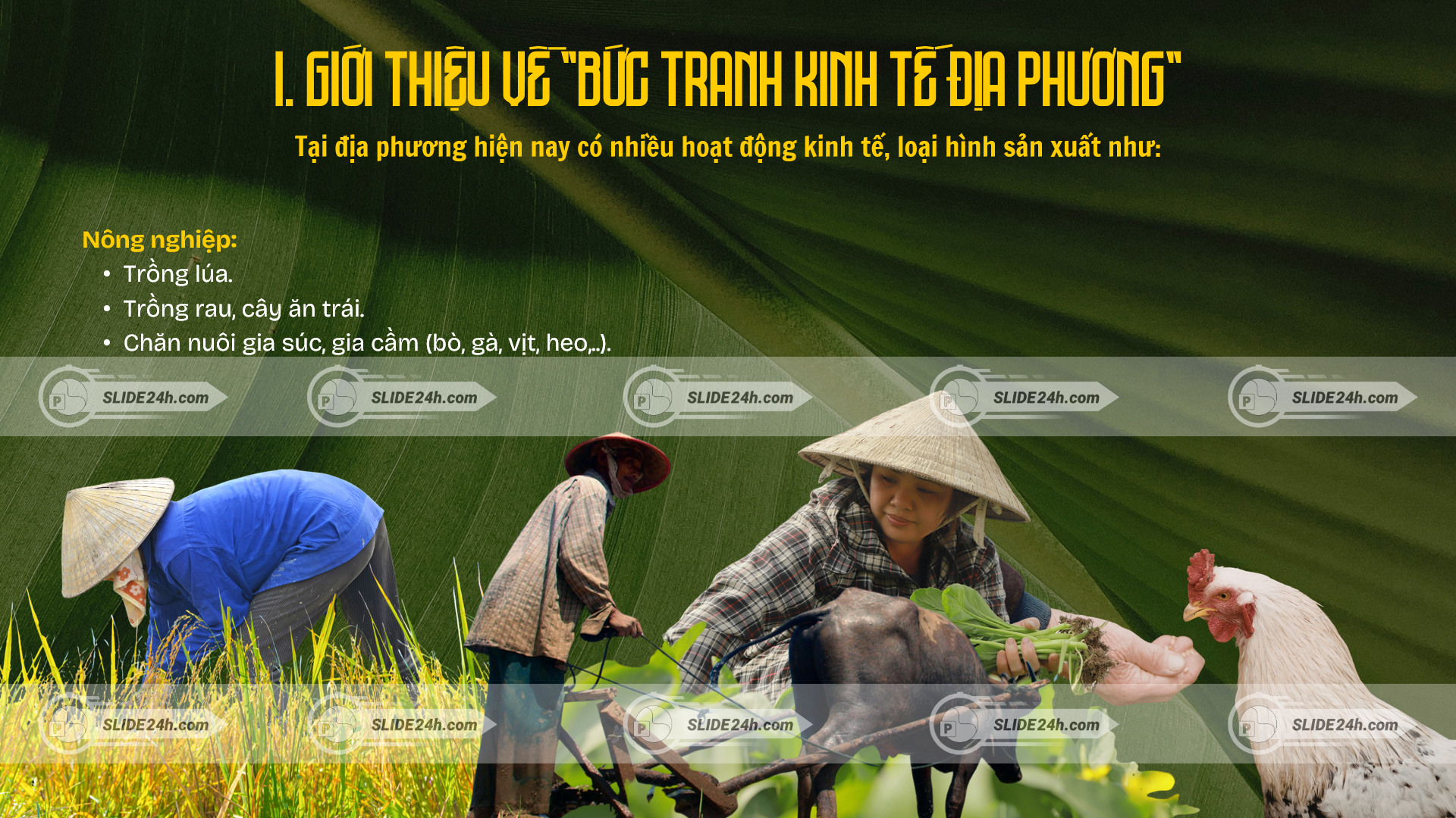 Bức tranh kinh tế địa phương hiện nay