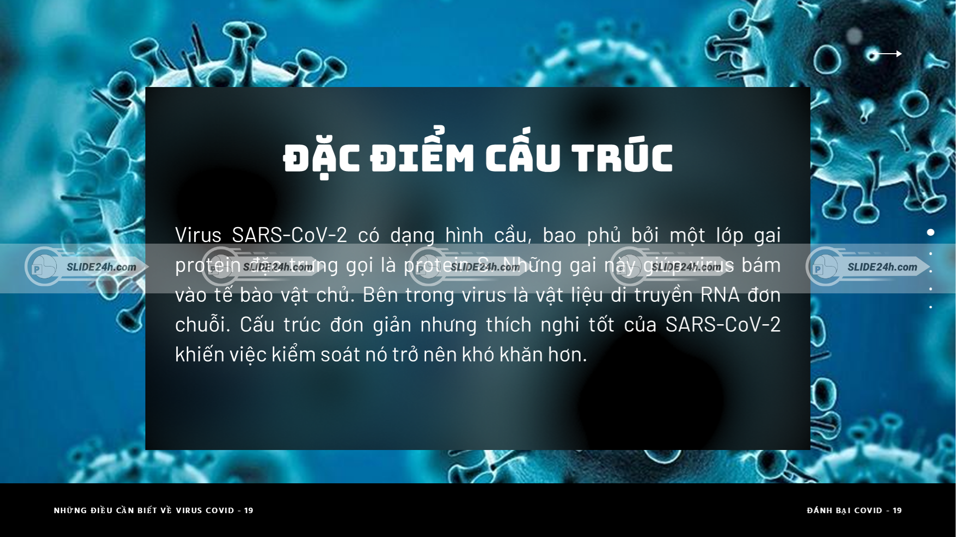 Cấu trúc virus SARS-CoV-2 với lớp gai protein bao quanh và lõi RNA giúp virus xâm nhập tế bào.