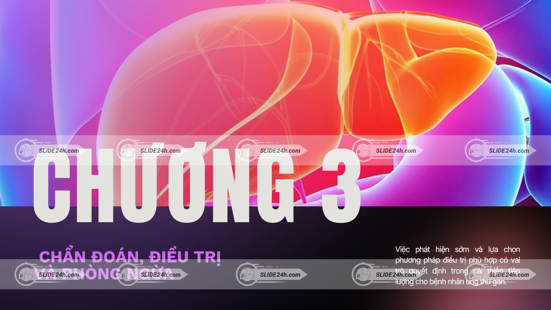 chẩn đoán điều trị và phòng ngừa ung thư gan với hình ảnh gan minh họa trực quan