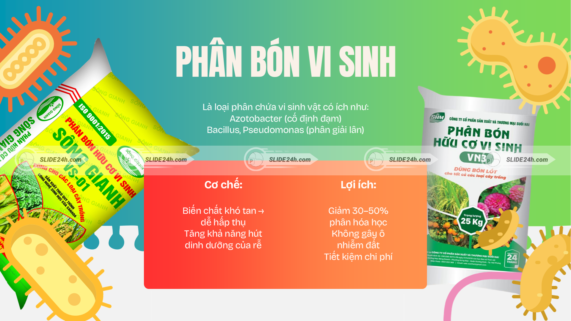 Cơ chế hoạt động của vi sinh vật trong đất và những lợi ích kinh tế, môi trường đối với sản xuất nông nghiệp.