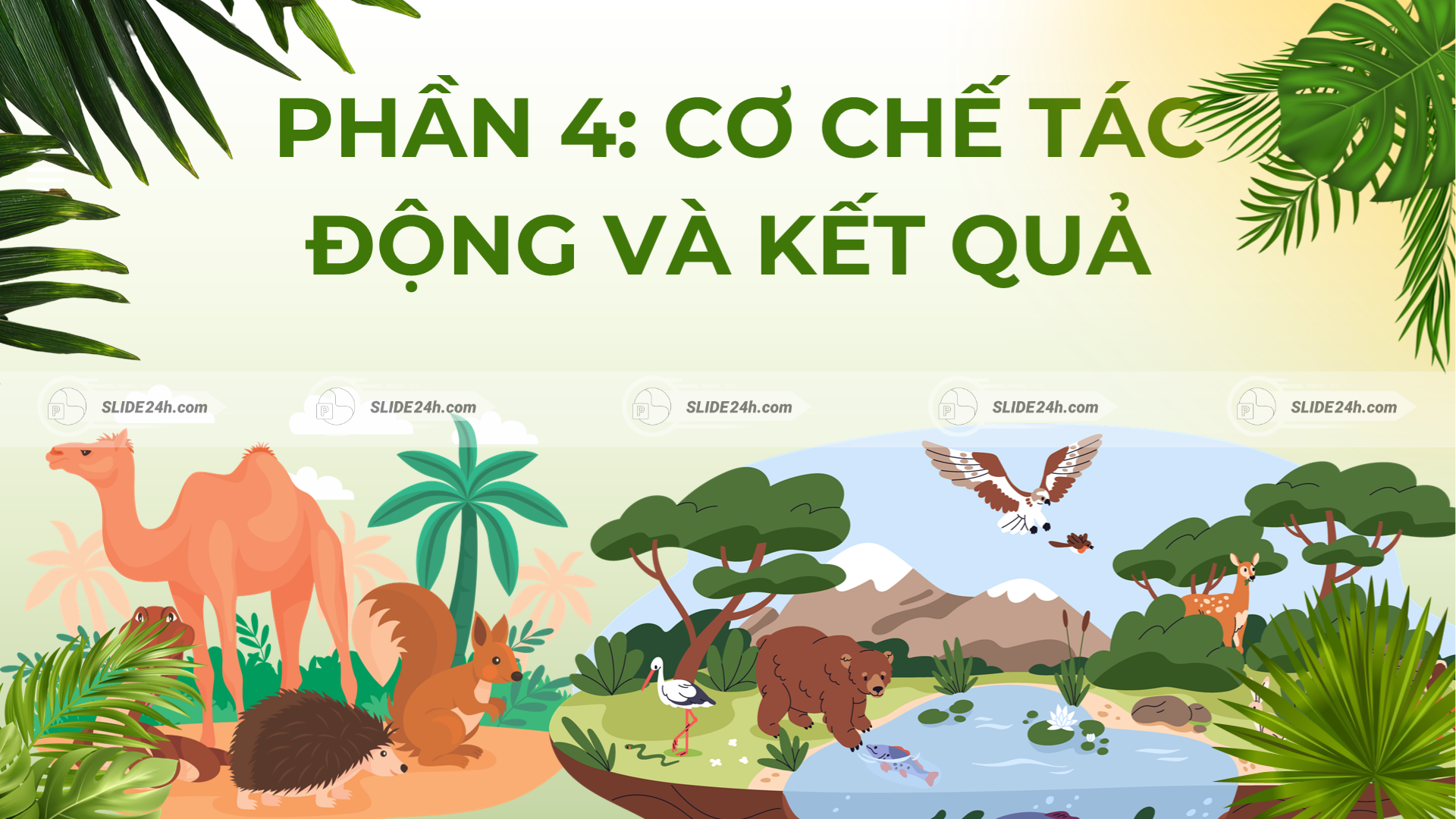 Cơ chế tác động và kết quả của chọn lọc tự nhiên trong việc tạo nên đặc điểm thích nghi và sự đa dạng ở sinh vật.