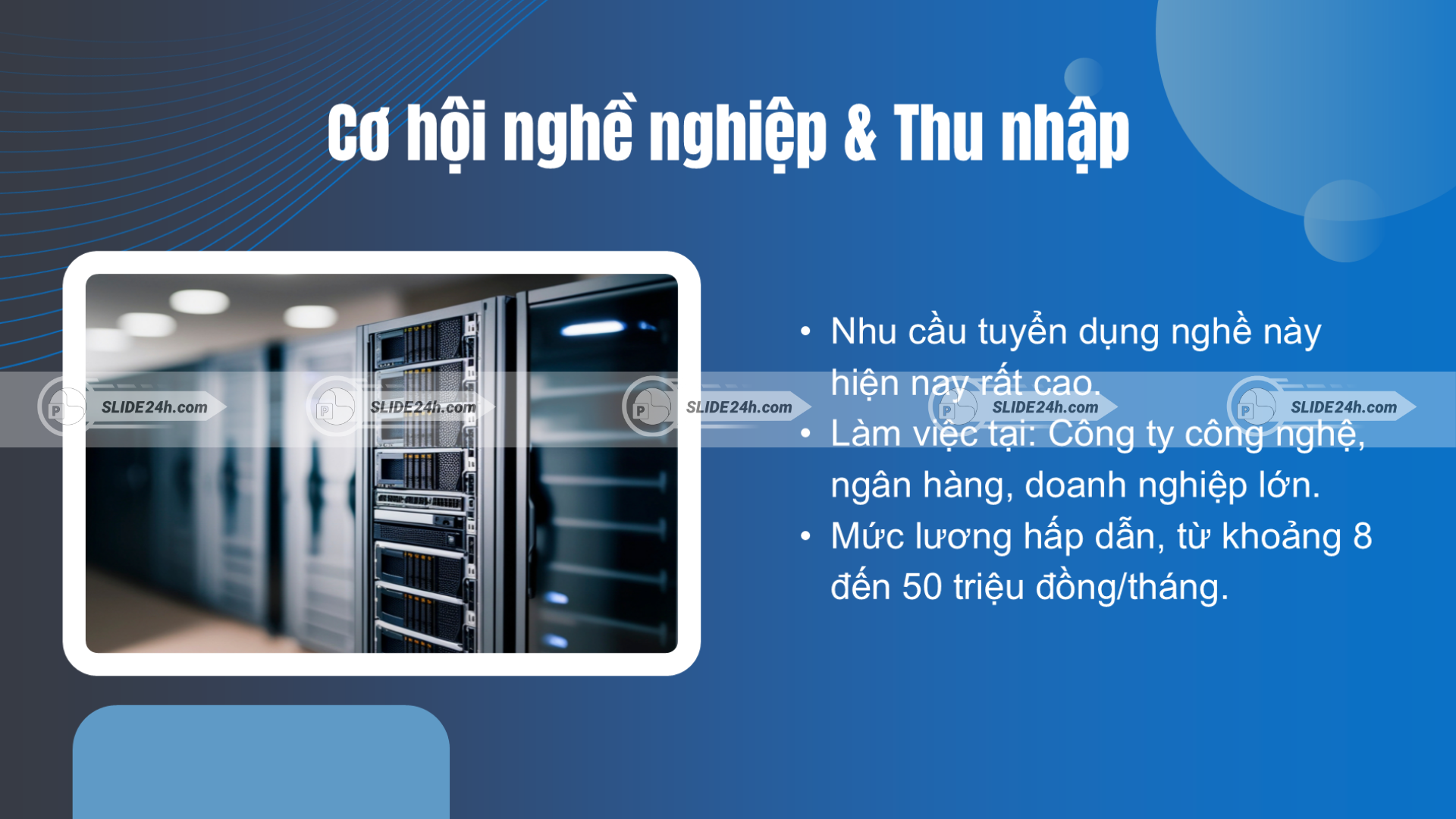 Cơ hội nghề nghiệp cơ sở dữ liệu.
