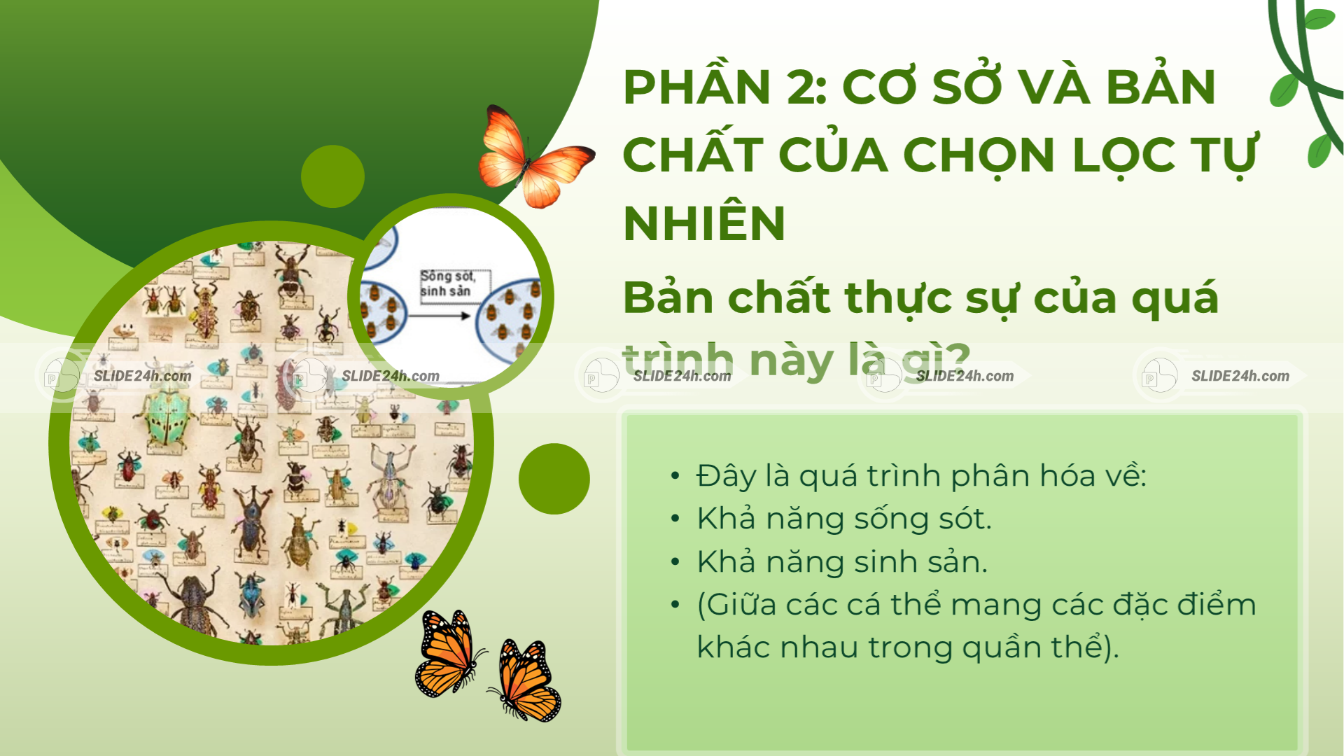 Cơ sở của chọn lọc tự nhiên gồm biến dị, di truyền
