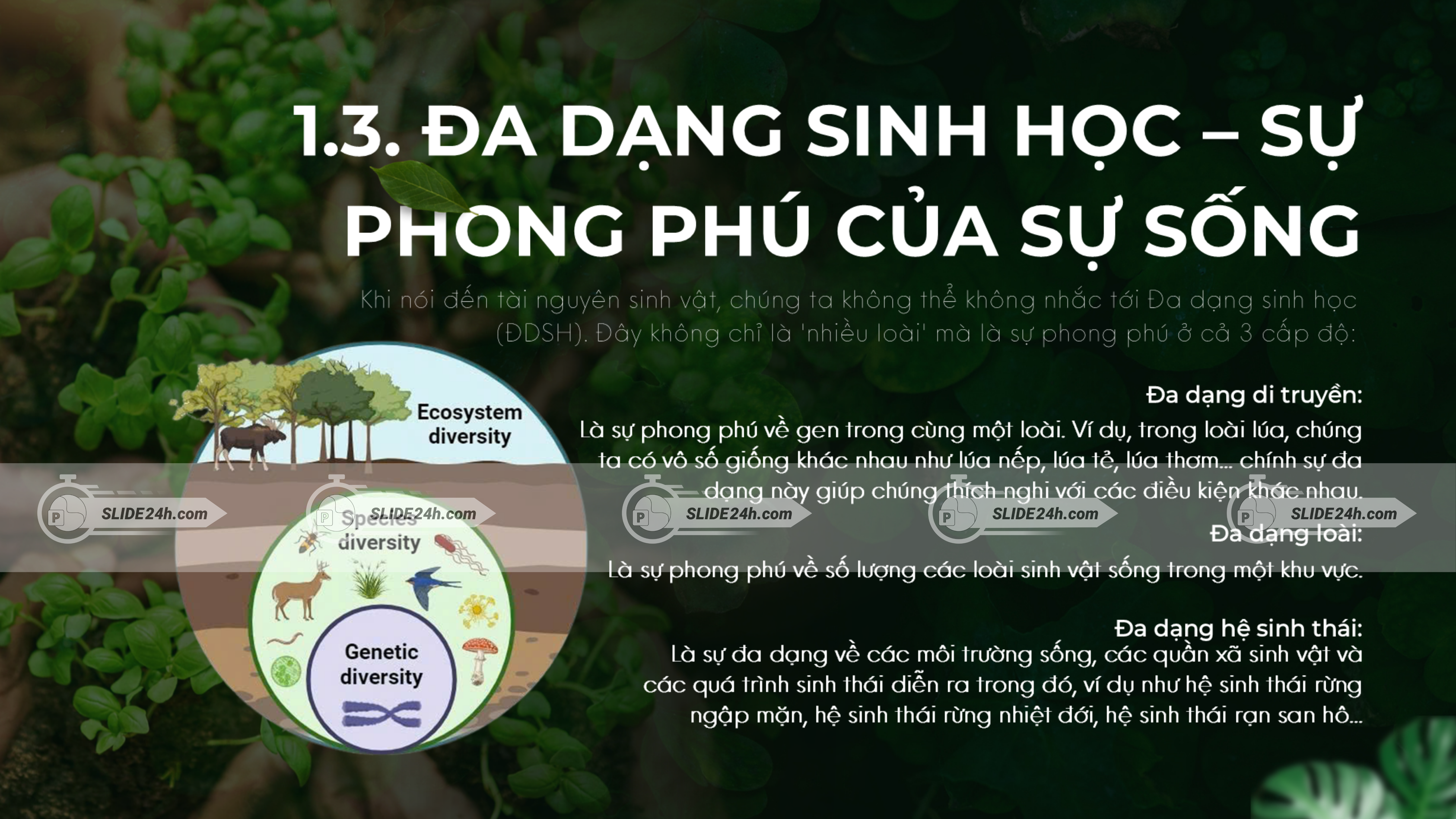 Đa dạng sinh học là sự phong phú của nguồn sống