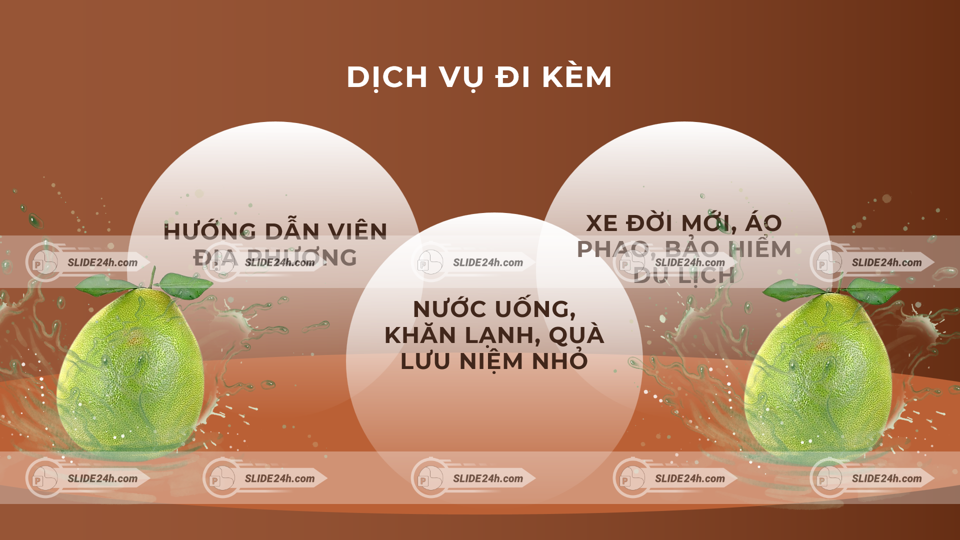 Dịch vụ đi kèm trong tour Vĩnh Long