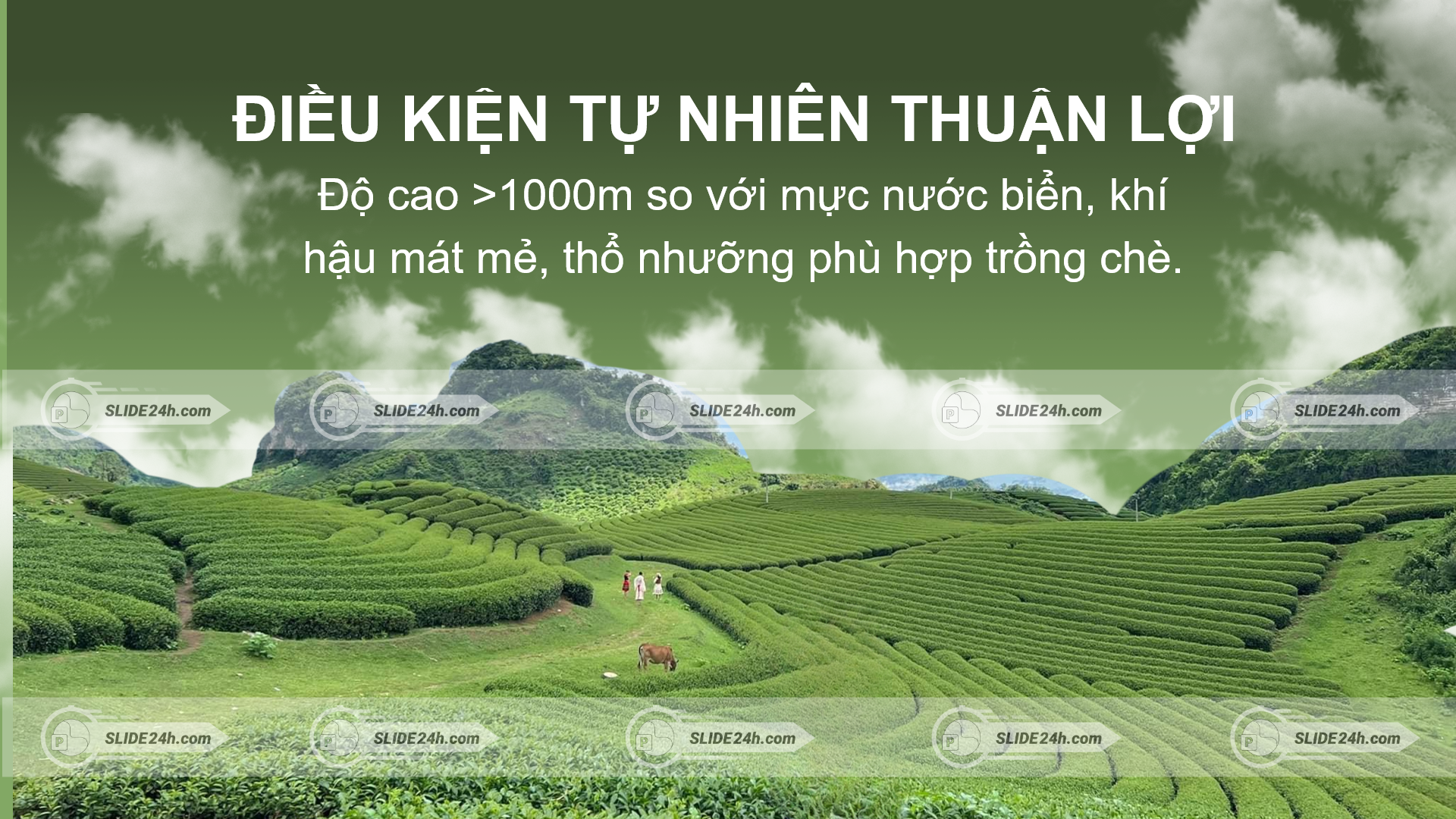 điều kiện tự nhiên Mộc Châu