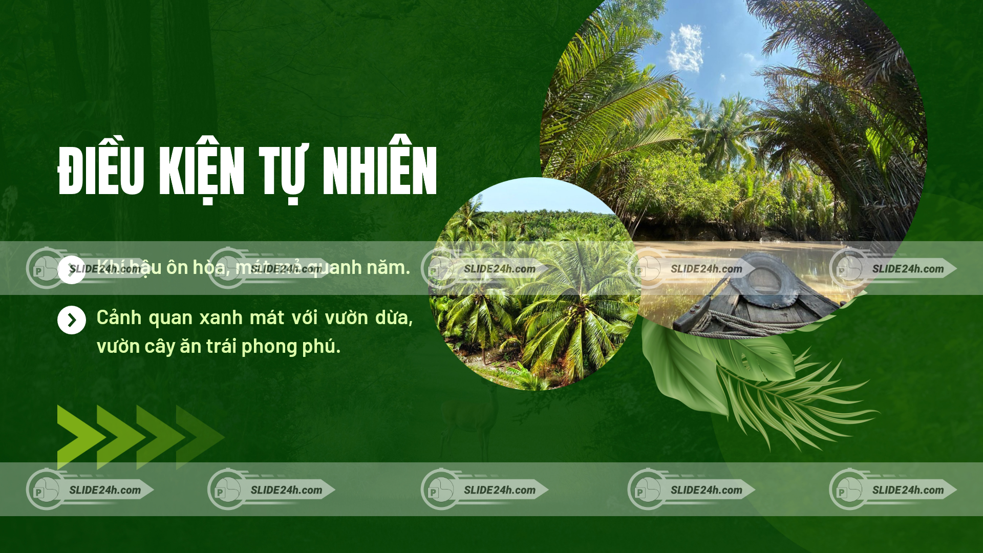 điều kiện tự nhiên xã tân phú bến tre vườn dừa và vườn cây ăn trái xanh mát