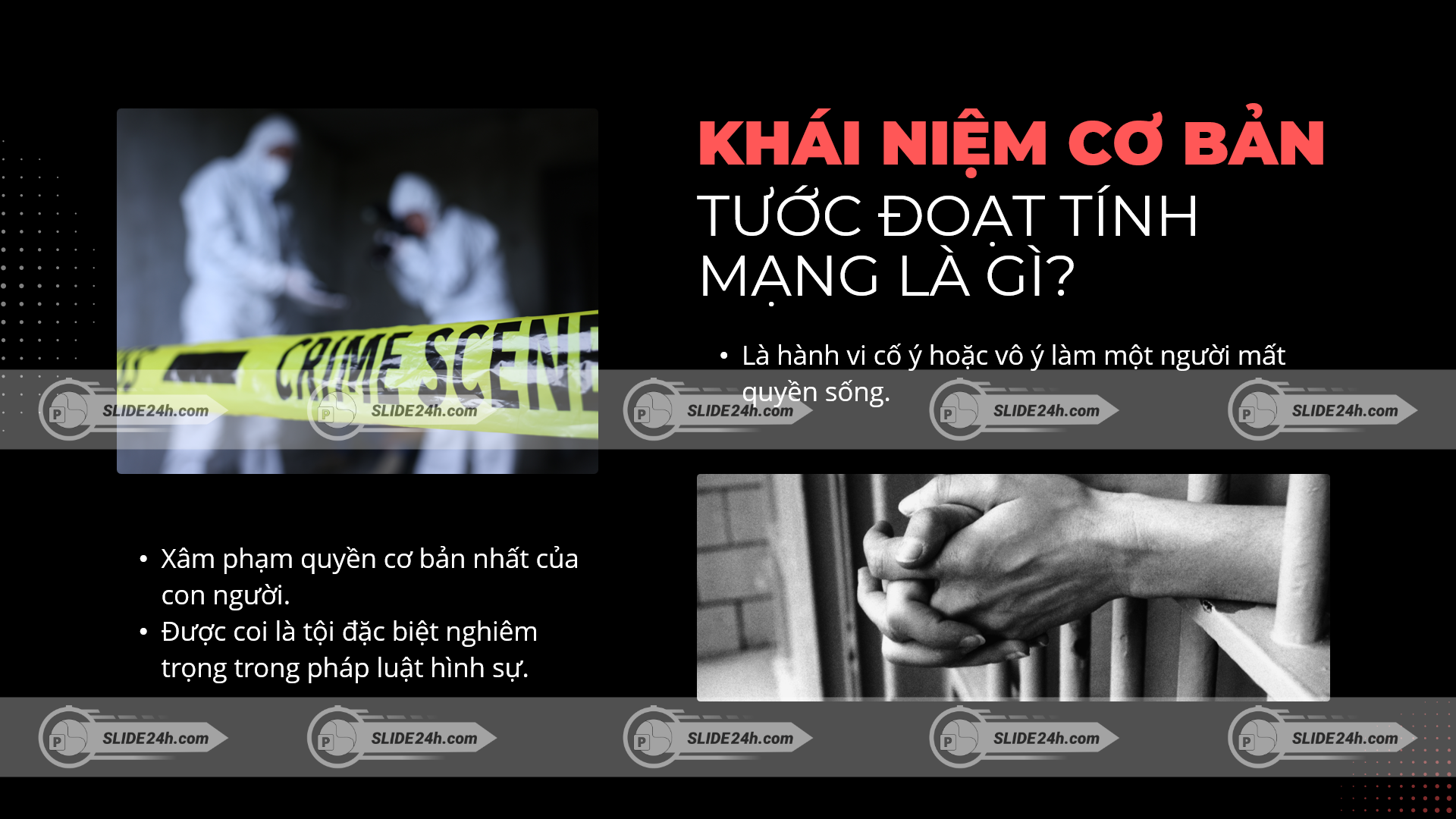Định nghĩa tước đoạt tính mạng