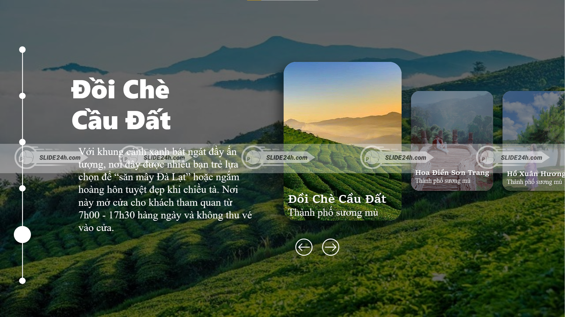 Đồi chè Cầu Đất
