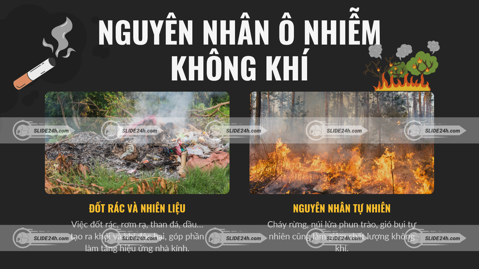 đốt rác và cháy rừng gây ô nhiễm không khí với khói dày đặc lan rộng trong môi trường tự nhiên