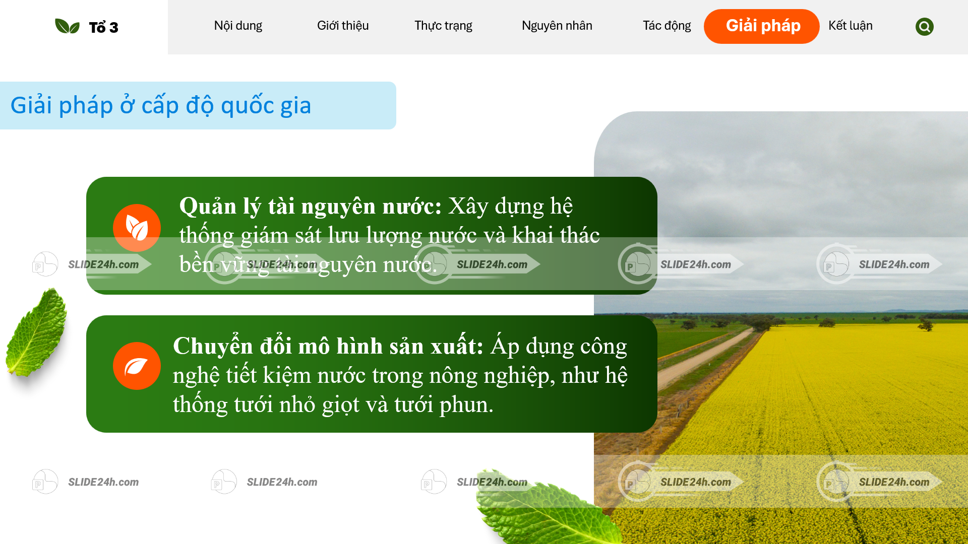 giải pháp bảo vệ và quản lý nguồn nước sông mê công bền vững