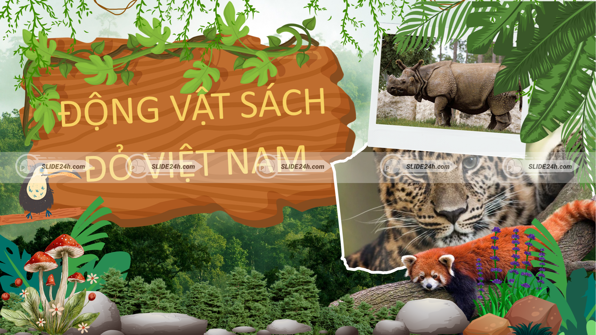 Giới thiệu động vật sách đỏ Việt Nam, nguy cơ suy giảm số lượng và sự cần thiết của công tác bảo tồn.