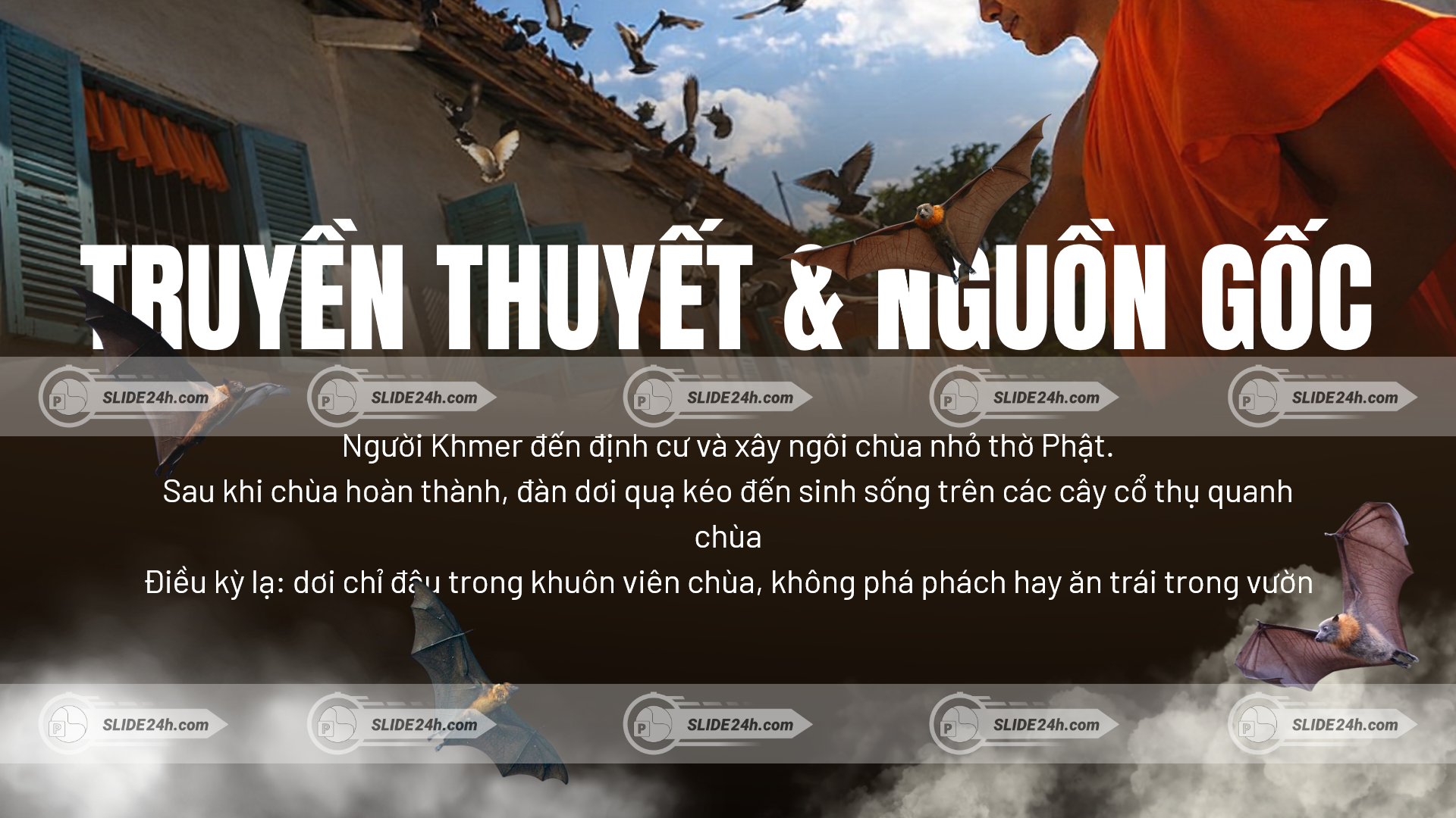 Giới thiệu nguồn gốc tên gọi chùa Dơi và ý nghĩa gắn với đàn dơi trong khuôn viên chùa.