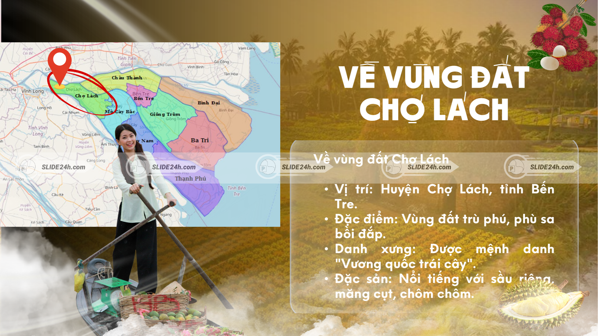 Giới thiệu vị trí và đặc điểm vùng đất Chợ Lách – Bến Tre