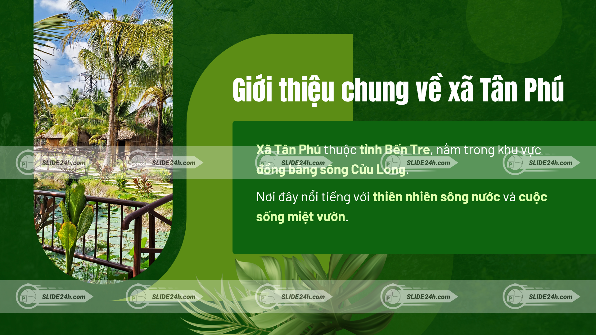 giới thiệu xã tân phú bến tre cảnh quan sông nước và cuộc sống miệt vườn