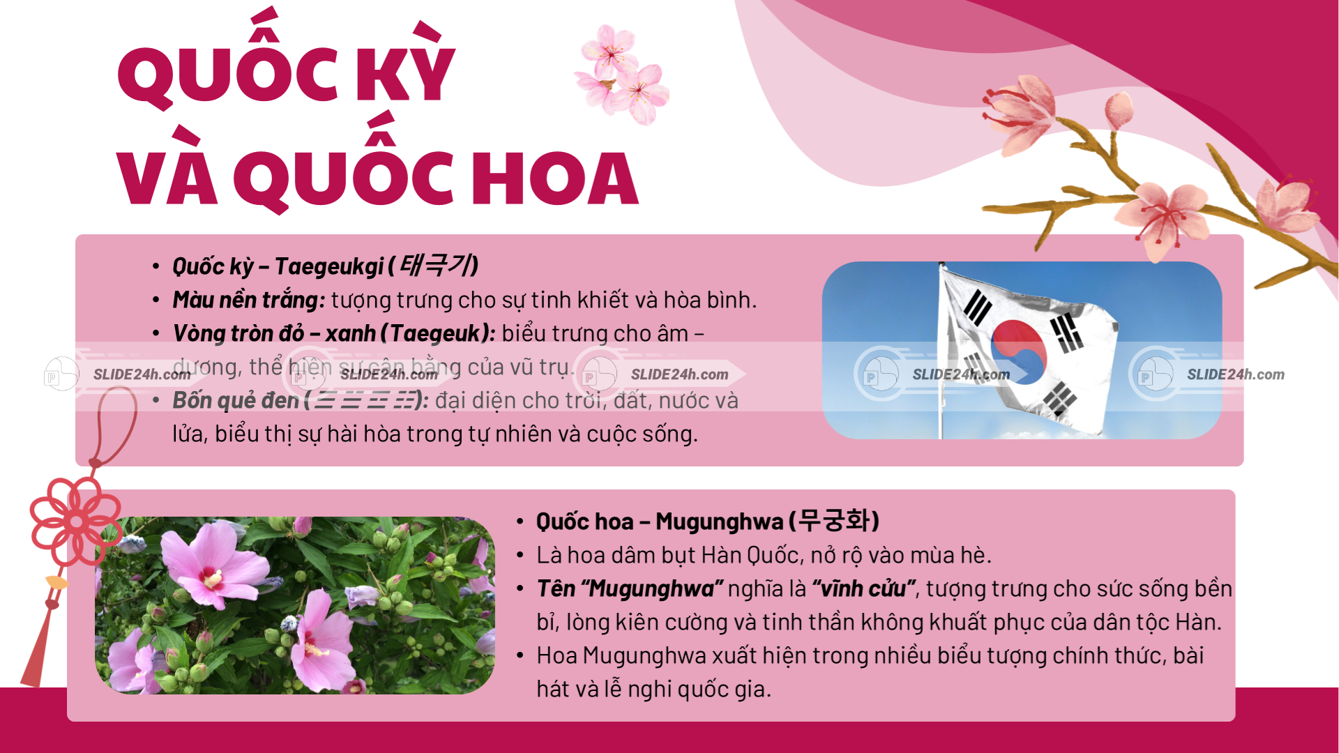 Giới thiệu ý nghĩa quốc kỳ Taegeukgi và quốc hoa Mugunghwa của Hàn Quốc.