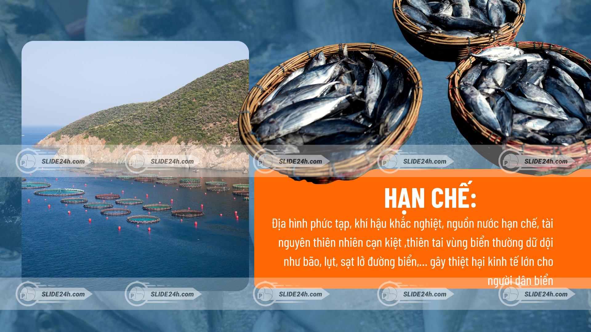 hạn chế trong phát triển thủy sản với hình ảnh cá đánh bắt và khu nuôi trồng trên biển phản ánh điều kiện tự nhiên khắc nghiệt