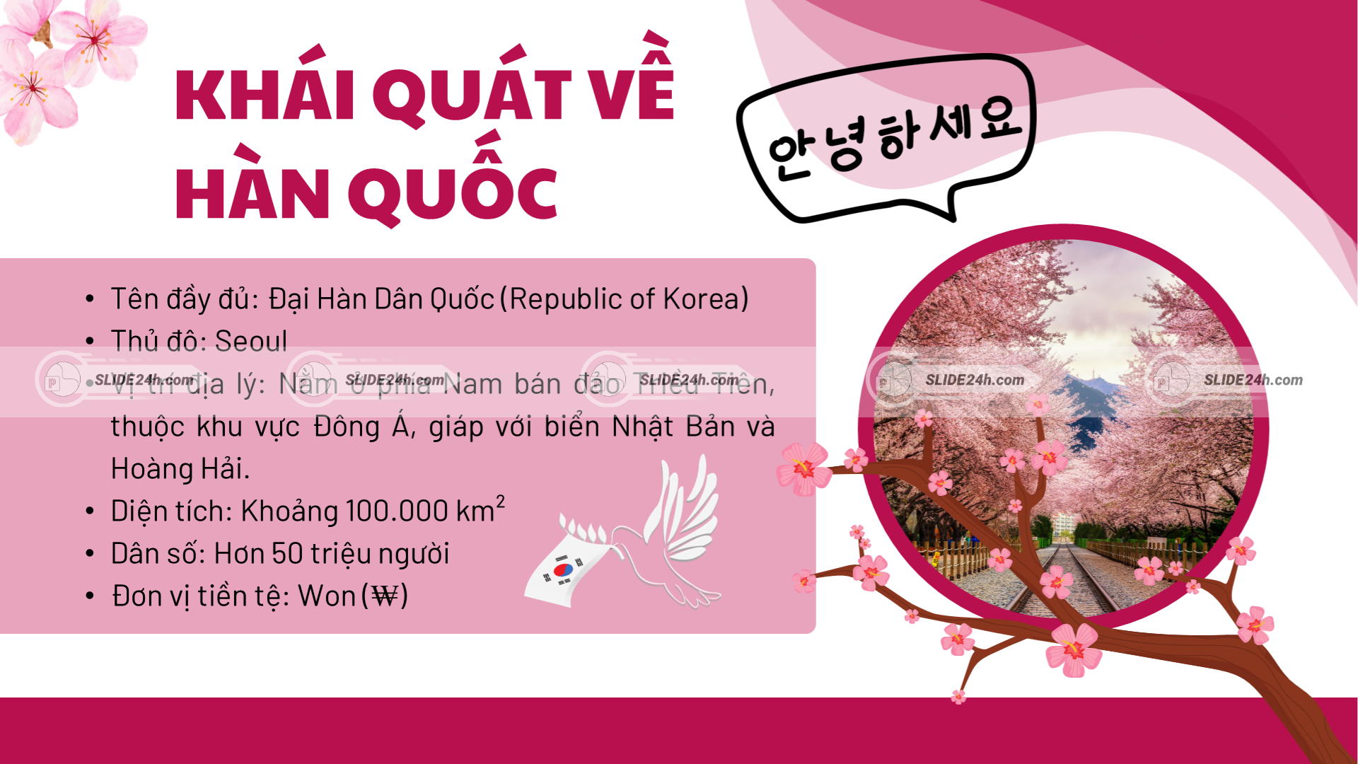 Hàn Quốc với các thông tin nền tảng như vị trí địa lý, dân số và điều kiện tự nhiên.