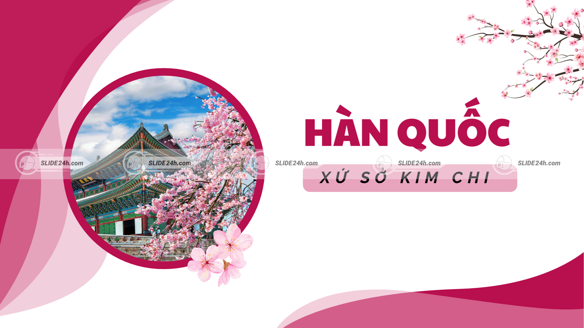 Hàn Quốc với định hướng khám phá đất nước, văn hóa và bản sắc xứ Kim Chi.