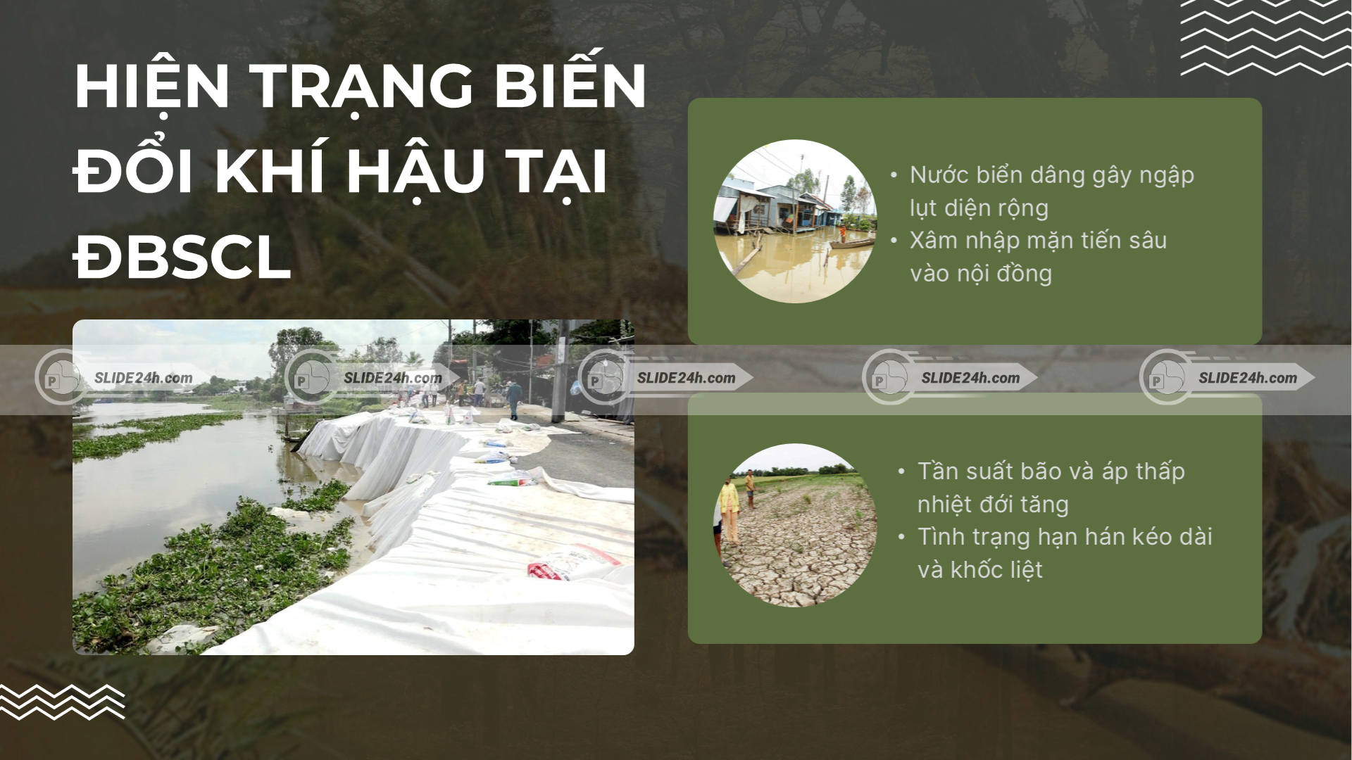 Hiện trạng biến đổi khí hậu tại ĐBSCL