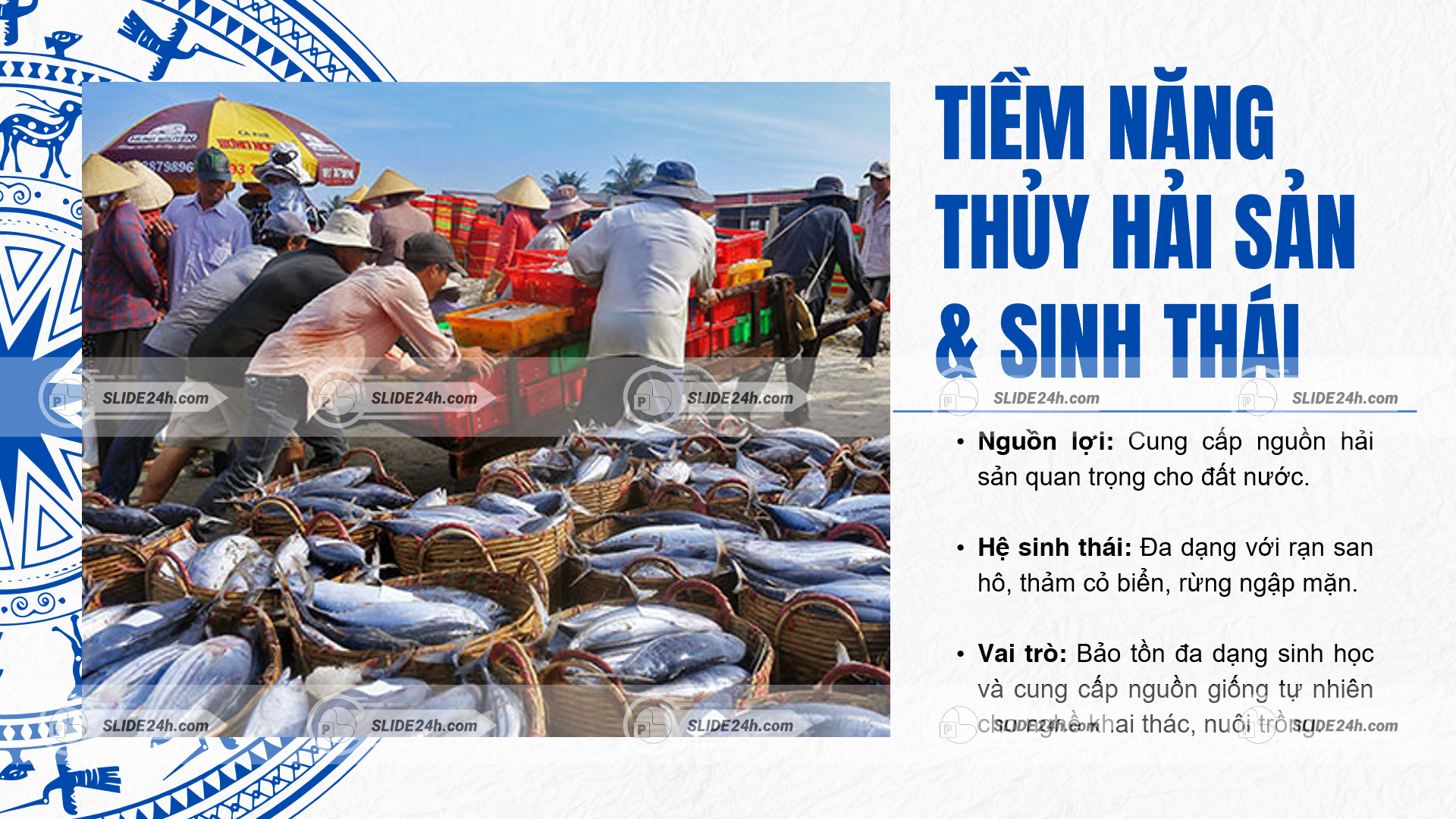 hoạt động khai thác thủy hải sản của ngư dân ven biển với nhiều loại cá thể hiện tiềm năng kinh tế biển