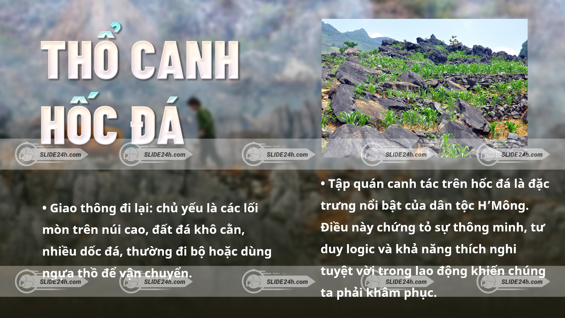 Hoạt động sản xuất và canh tác