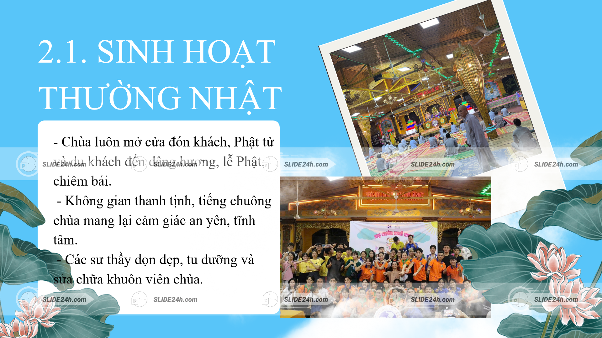 Hoạt động thường nhật tại chùa Phước Tường