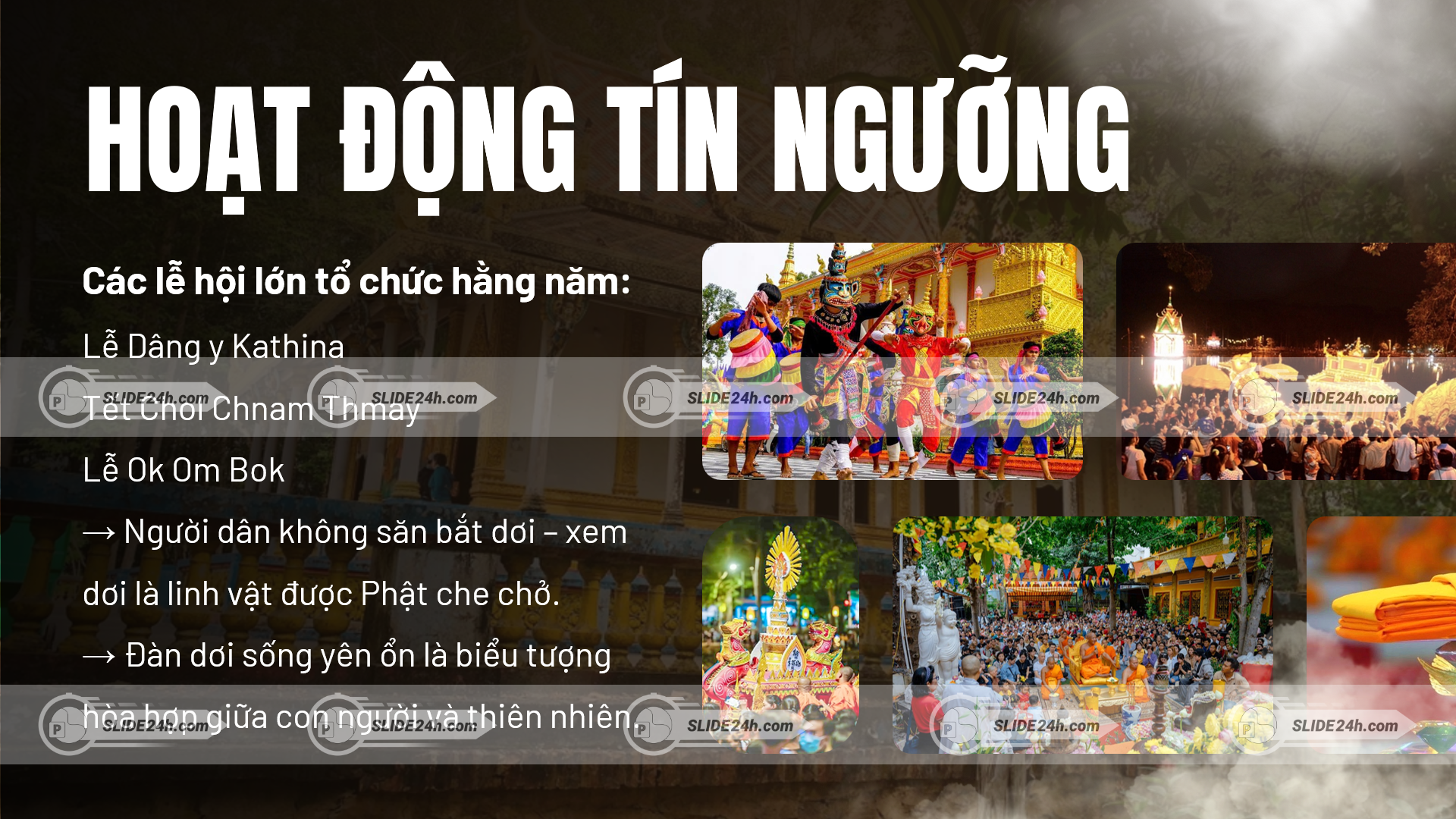 Khái quát các hoạt động tín ngưỡng, lễ hội truyền thống và quan niệm bảo vệ đàn dơi ở chùa Dơi.