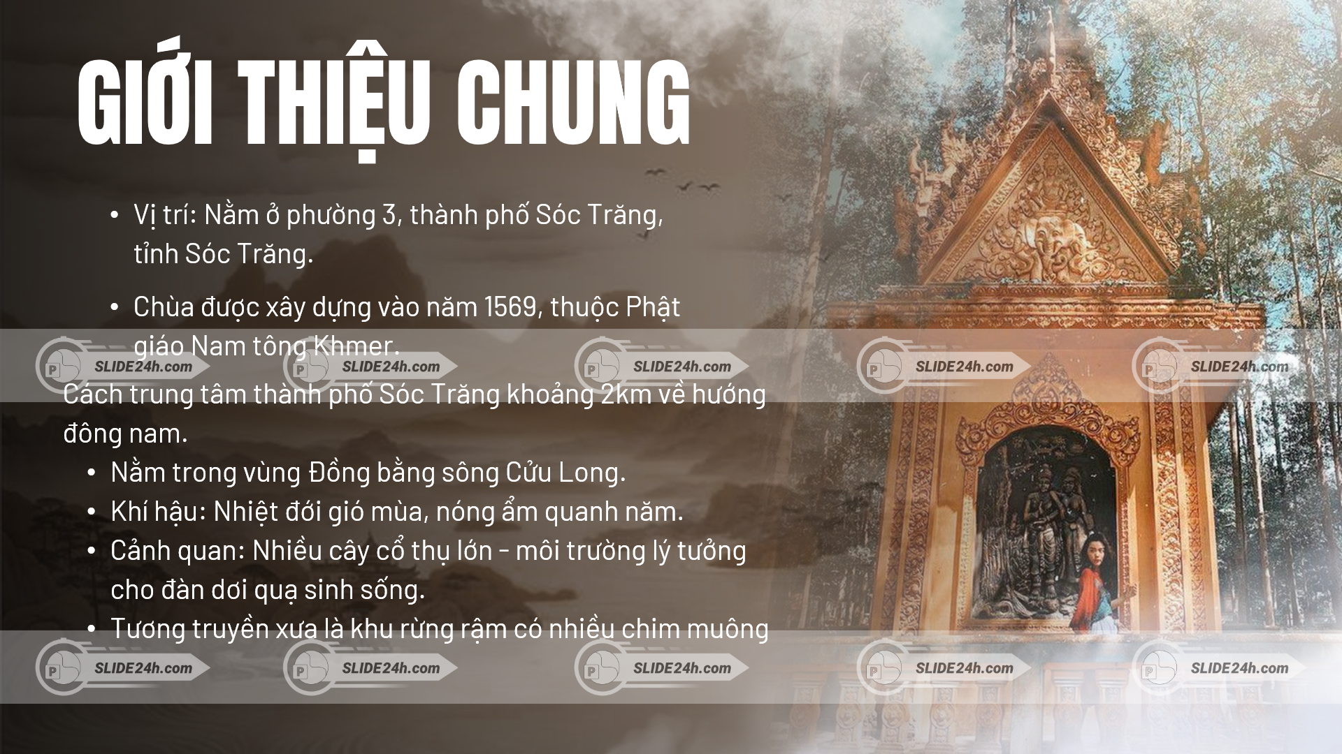 Khái quát vị trí, lịch sử và cảnh quan thiên nhiên của chùa Dơi Sóc Trăng.
