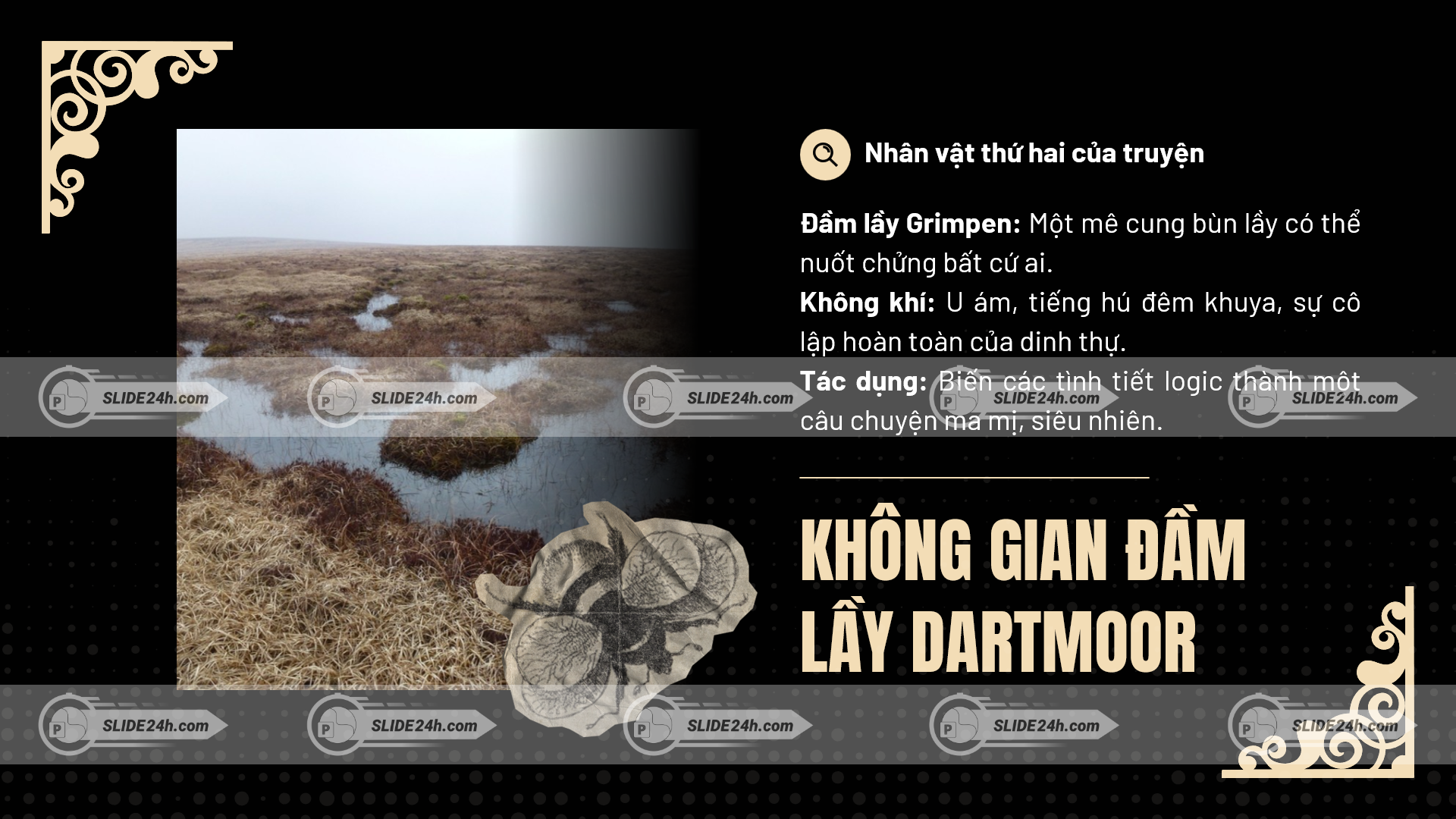 không gian đầm lầy dartmoor u ám trong con chó nhà họ baskerville