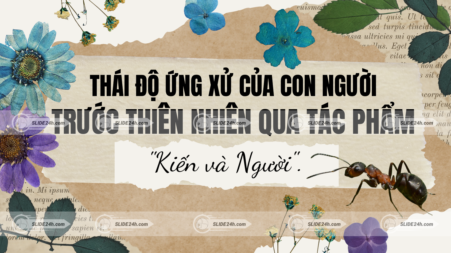 Kiến và Người với thông điệp về thái độ của con người trước thiên nhiên và sự cân bằng sinh thái.