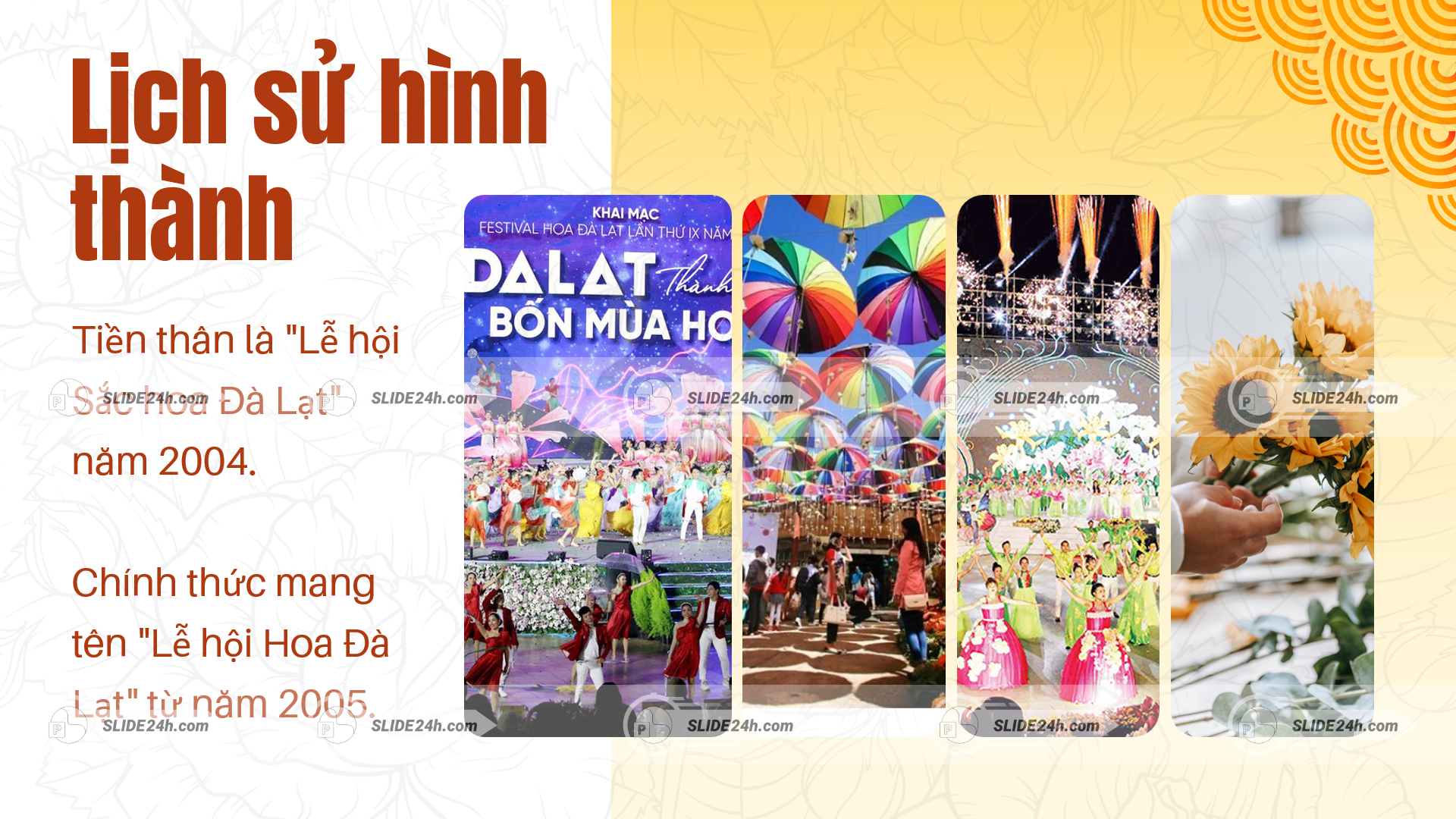 lịch sử lễ hội hoa đà lạt với biểu diễn nghệ thuật và không khí sôi động