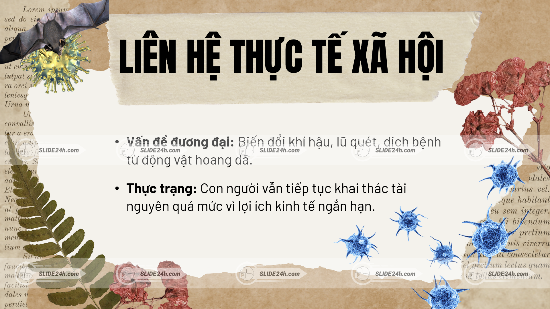 Liên hệ Kiến và Người với thực trạng con người ứng xử với thiên nhiên trong xã hội hiện nay.