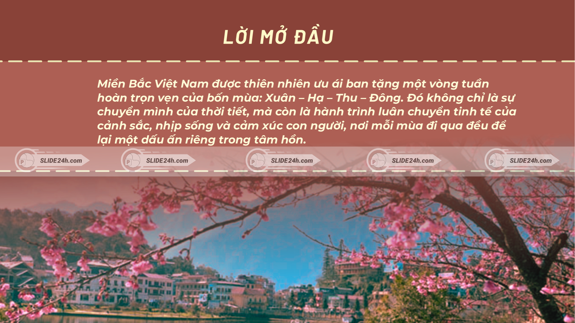 Miền Bắc có sự phân hóa bốn mùa rõ rệt, mỗi mùa mang một nhịp sống, thời tiết và giá trị văn hóa khác nhau.