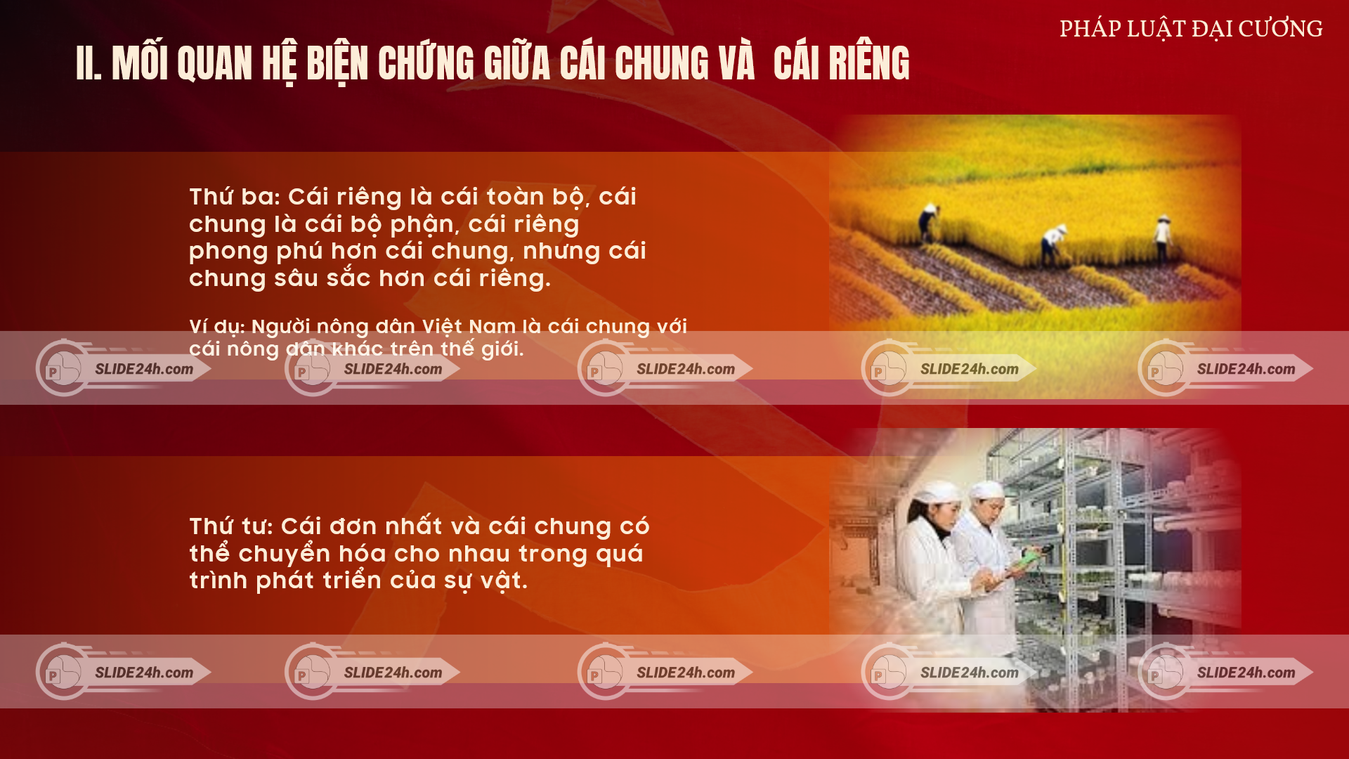 Mối quan hệ giữa cái chung và cái riêng