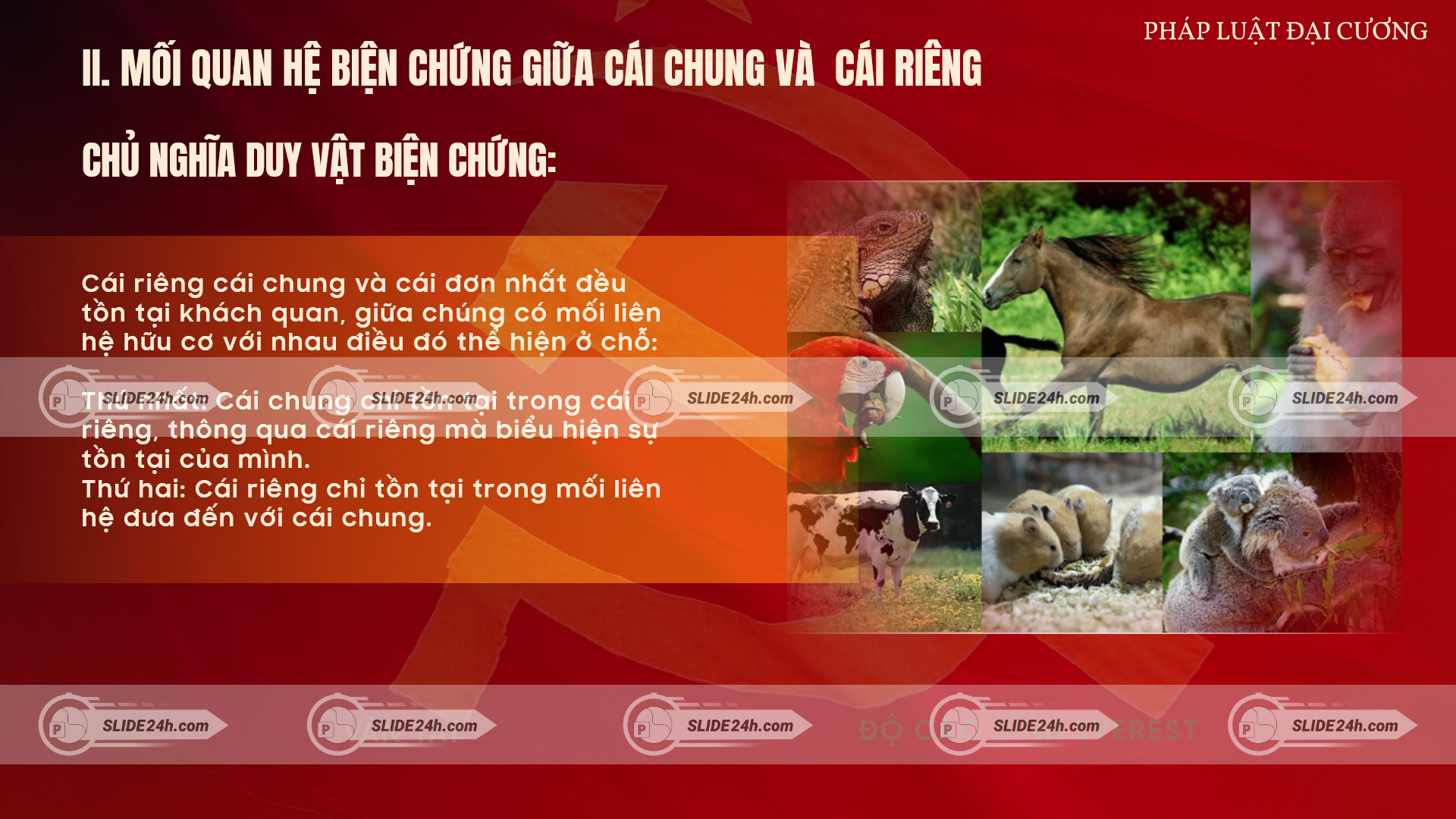 Mối quan hệ giữa cái chung và cái riêng