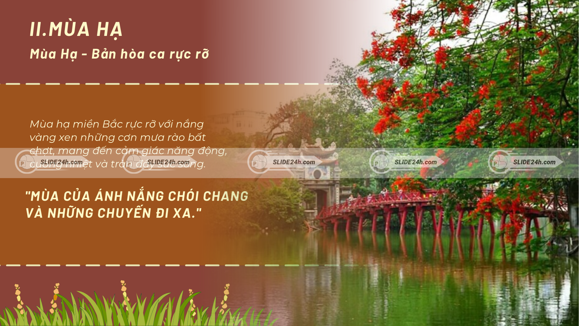 Mùa hè miền Bắc mang sắc thái sôi động, thích hợp cho du lịch biển, nghỉ dưỡng.