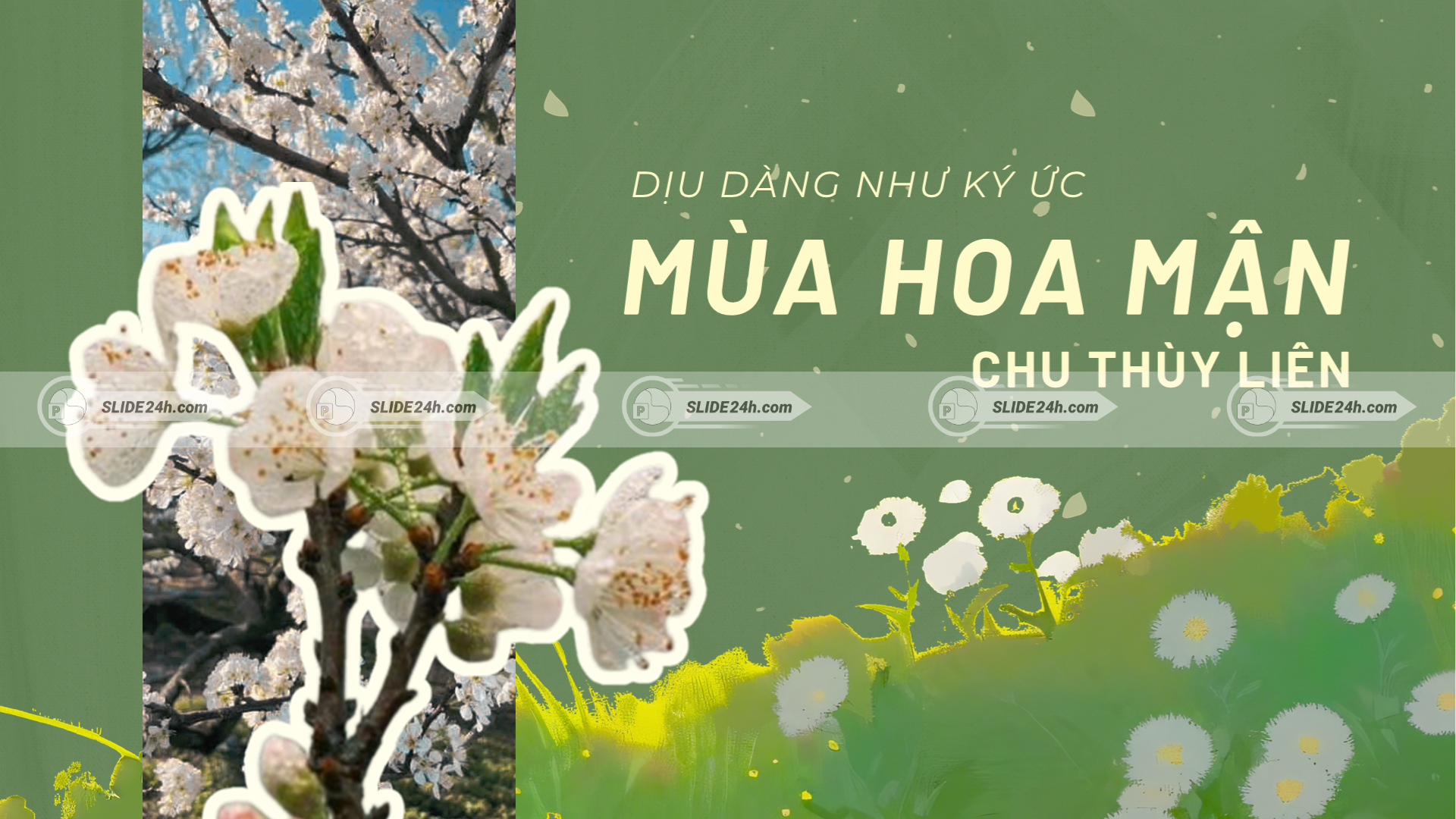 Mùa hoa mận của Chu Thùy Liên với hình ảnh hoa mận trắng, không gian Tây Bắc và nỗi nhớ quê hương tha thiết.