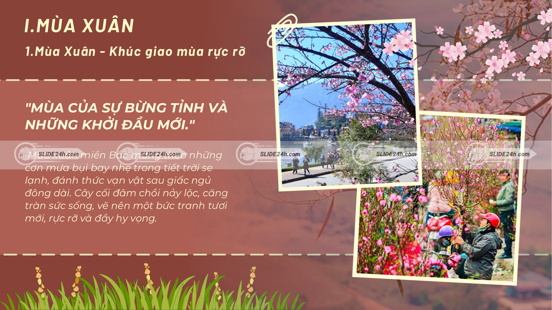 Mùa xuân miền Bắc với không khí ấm áp, hoa nở rực rỡ, nhiều lễ hội truyền thống.