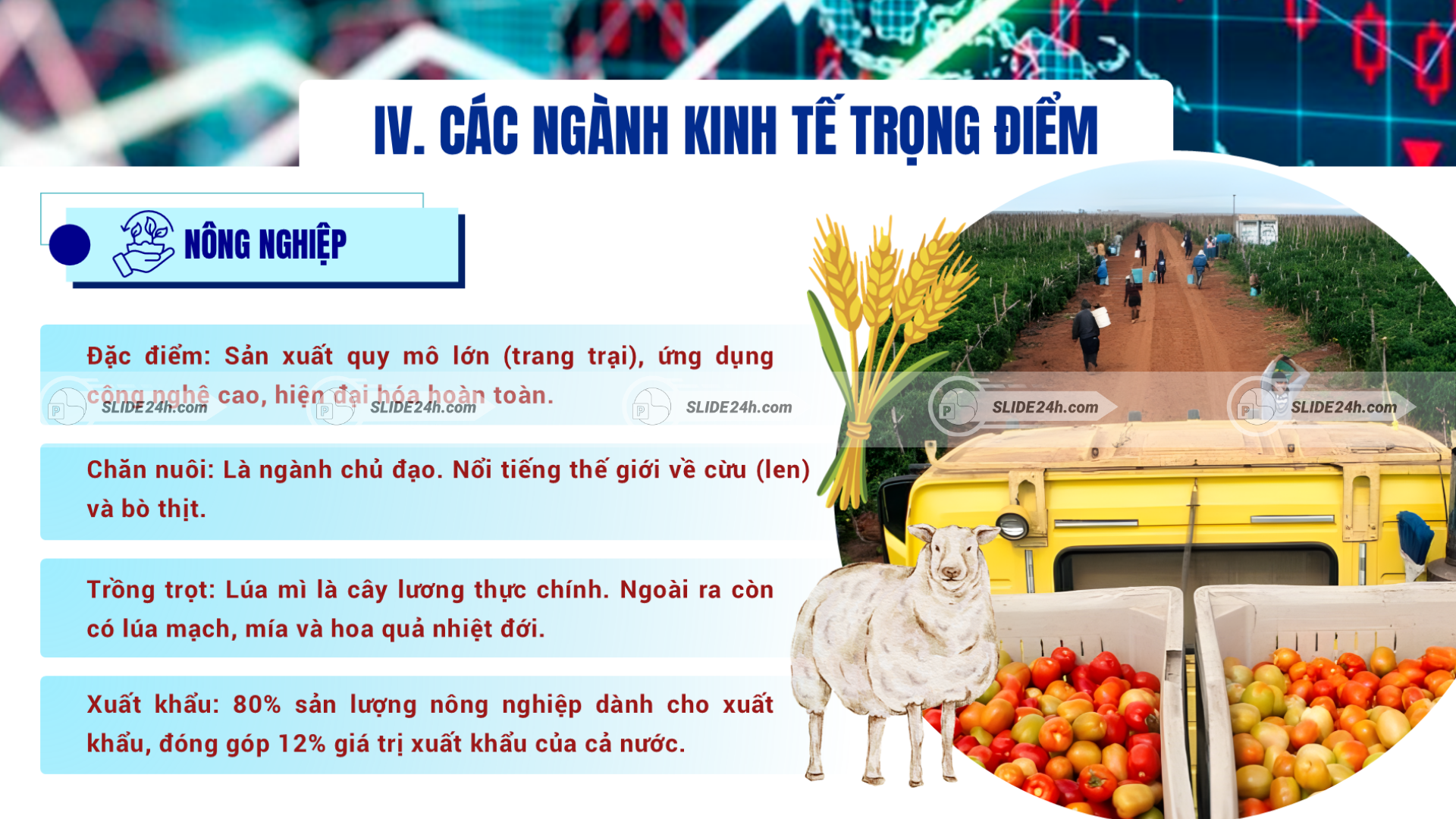 Ngành nông nghiệp nước Úc với sản xuất quy mô lớn, chăn nuôi cừu, trồng lúa mì và xuất khẩu nông sản.
